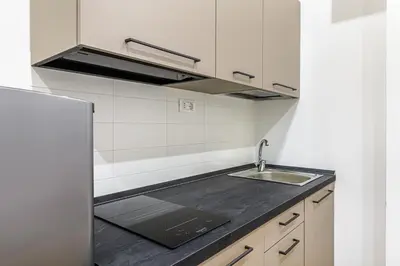 a kitchen with a sink and a refrigerator at Lion Aparts Rome in Rome