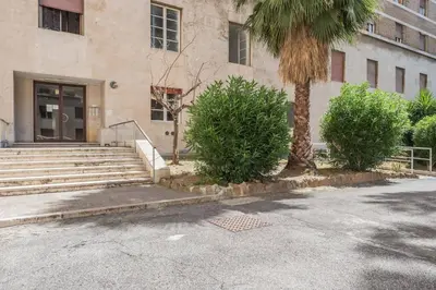 a building with stairs and a palm tree in front of it at La Casina 348 in Rome