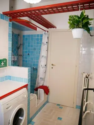 a laundry room with a washing machine and a plant at Chic and Spacious Rome Penthouse in Rome