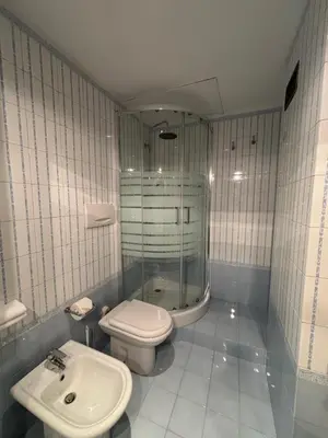 a bathroom with a toilet and a shower and a sink at Terrace Suite Roma San Giovanni in Rome