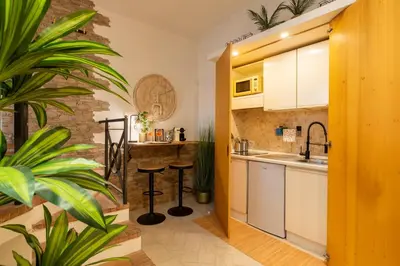 a kitchen with white cabinets and plants in a room at Pearl of Circo Massimo in Rome