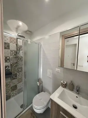 a bathroom with a shower and a toilet and a sink at Renovated studio near the Vatican in Rome