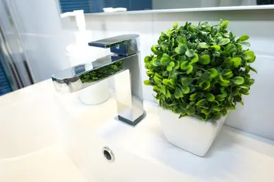 a plant sitting on a bathroom sink next to a faucet at Home Candia in Rome