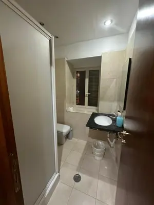 a bathroom with a sink and a toilet and a shower at Termini Sunlight House in Rome
