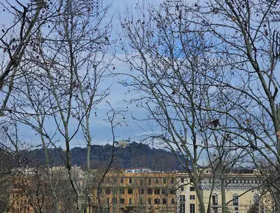 a group of trees with a building in the background at Vatican Prestige - Meospiti Cesare Exclusive in Rome