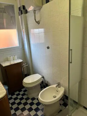 a bathroom with a toilet and a sink and a shower at Palm Rooms in Rome