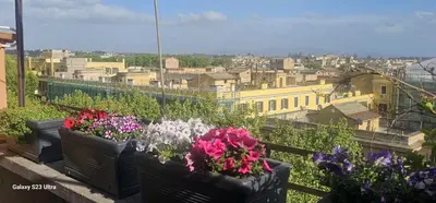 three potted plants on a balcony with a city at Vatican Roma Caput Mundi in Rome