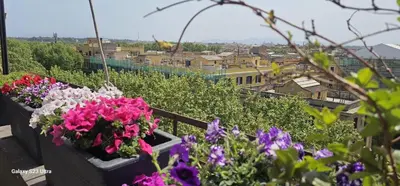 a bunch of flowers on a balcony with a city at Vatican Roma Caput Mundi in Rome