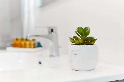 a plant in a white pot sitting on a bathroom counter at Labi Home Colossevm in Rome