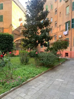 an empty street in front of a building with a tree at Appartamento degli Eroi in Rome