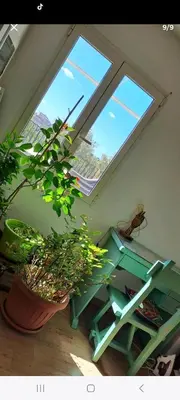 a room with two large windows and a table with potted plants at Stanza in superattico, terrazzato, luminoso, accogliente, bagno privato in Rome