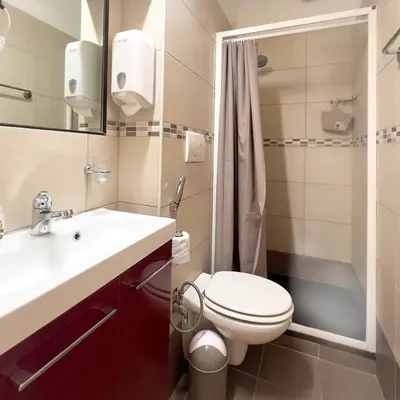 a bathroom with a toilet and a sink and a shower at Ariana Apartments in Rome