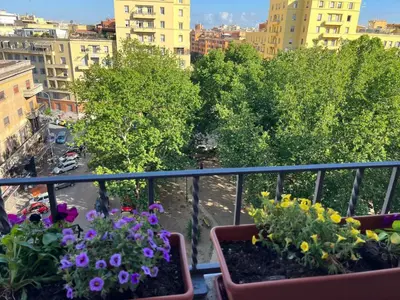 two pots of flowers on a balcony in a city at Centro Storico a 15' - Cata Apartment Roma in Rome