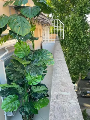 a balcony with green plants and a building at Caesars penthouse in Rome