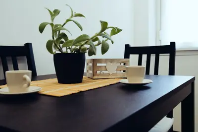a table with two coffee cups and a potted plant at Domus Clelia in Rome
