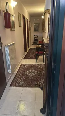 a hallway with two rugs on the floor and a room with a rug at PITAGORA Rooms in Rome