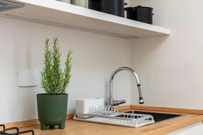 a kitchen sink with a faucet and a plant at Casa Gracchi by Hili in Rome