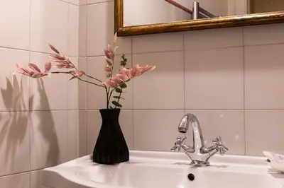 a black vase with pink flowers sitting on a sink at iFlat Bright & Comfortable Navona apartment in Rome