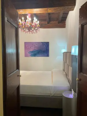 a bedroom with a bed and a chandelier at Giglio apartment Navona in Rome
