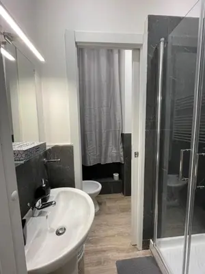 a bathroom with a sink and a shower and a toilet at Rome Groove Rooms in Rome