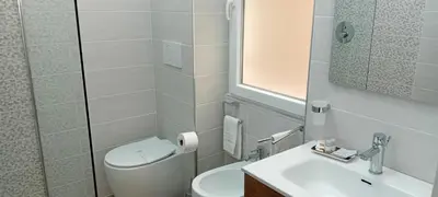 a bathroom with a toilet and a sink and a mirror at Rondinini Flam in Rome