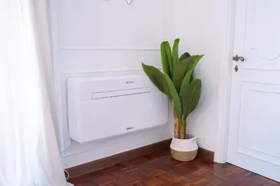 a plant in a vase next to a door at Luxury Stay Piazza di Spagna in Rome