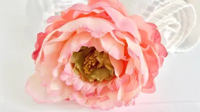 a pink flower sitting on top of a table at Centro Solferino Rooms in Rome