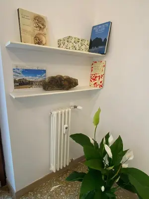 a room with shelves and a radiator and a plant at Casa Tua a Roma Centro con box auto tra Stadio Olimpico e Vaticano in Rome
