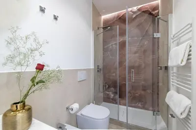 a bathroom with a shower with a toilet and a flower at St Peter Twelve in Rome