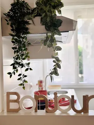 a wooden sign with a plant hanging from a shelf at Olimpia Bis - Gianicolo - Trastevere - Vaticano - Centro Storico di Roma in Rome