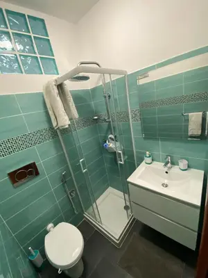 a bathroom with a shower and a toilet and a sink at Malu's house in Rome