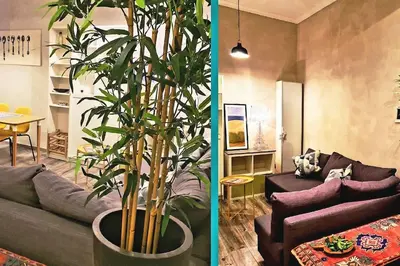 a living room with a couch and a potted plant at Charming house in Rome