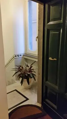 a plant in a vase in front of a door at Diapason Colosseo Suite in Rome