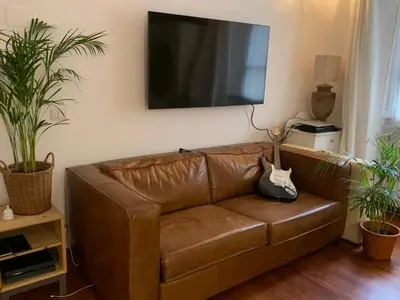 a brown leather couch in a living room with plants at House Maximo at Colosseum in Rome