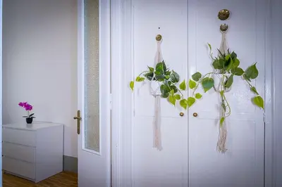 a white door with a plant hanging on it at ht la spezia bilo in Rome