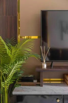 a plant sitting on a table next to a tv at Angie's Dream Home - Spanish Steps Rome in Rome