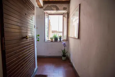 a hallway with a door and a window and plants at Cacio e Pepe FLATS 1 & 2 in Rome