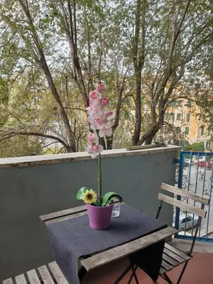 a table with a flower in a pot on a balcony at Roma Trastevere Holiday in Rome