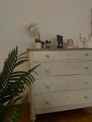 a white dresser with plants on top of it at Alloggio Turistico Agiati in Rome