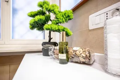 a bottle of wine and a bonsai tree on a counter at King Size Apartment WiFi AIR CONDITIONING TV50 10MIN COLOSSEO-TRASTEVERE in Rome