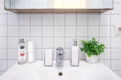 a white bathroom sink with a faucet and a plant at King Size Apartment WiFi AIR CONDITIONING TV50 10MIN COLOSSEO-TRASTEVERE in Rome