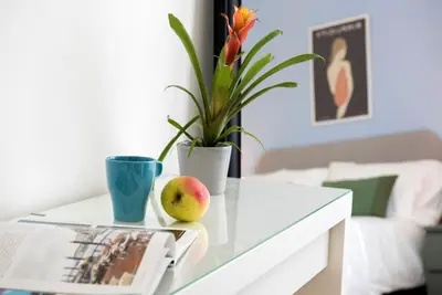 a table with a cup and a book and a plant at Monte Sacro apartment for 6 guests Metro B in Rome