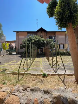 a row of potted plants in front of a building at Lotto 21 della Garbatella in Rome