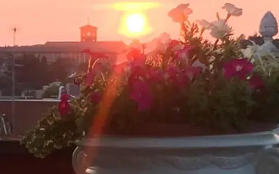 a pot of flowers with the sunset in the background at L'Attico di San Saba in Rome