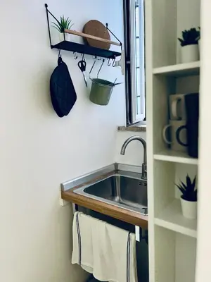 a kitchen with a sink and a window with potted plants at Leonardo Guest House Roma in Rome