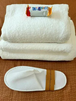 a pair of towels with a toothbrush and a paper plate at Sky Hub21 in Rome