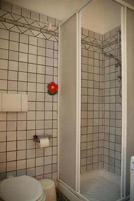 a bathroom with a shower with a toilet and a red flower at Casa di Egeria al Colosseo in Rome