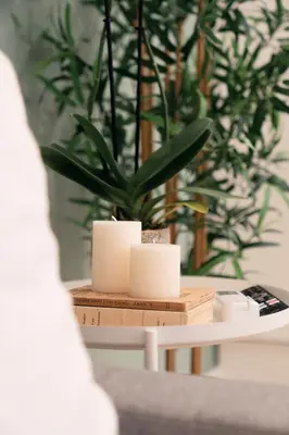 a table with a potted plant on top of it at Emma Bliss Apartment in Rome