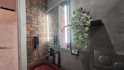 a bathroom with a potted plant on the wall at vatican street art in Rome