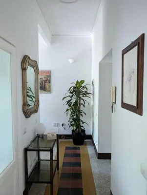 a hallway with a table and a potted plant at Appartamento della Vittoria in Rome